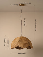 Café small pendant | Ceiling Light | lights&lamps | UK | Modern Affordable Designer Lighting