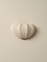 Ostrea small wall light