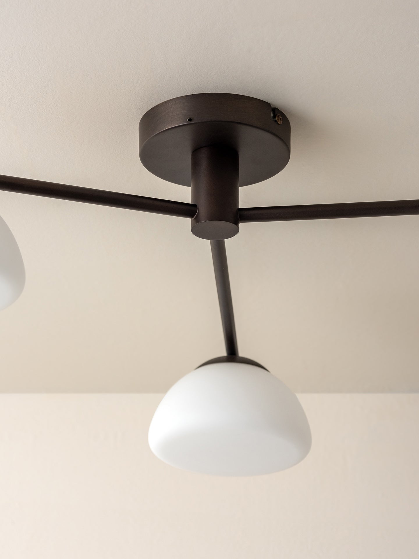 A modern ceiling light fixture with a matte dark bronze canopy and arms, featuring two white dome-shaped glass shades, shown mounted on a beige ceiling.