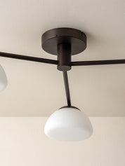 A modern ceiling light fixture with a matte dark bronze canopy and arms, featuring two white dome-shaped glass shades, shown mounted on a beige ceiling.